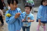 img0019.jpg
