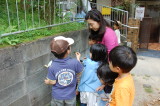 img0021.jpg