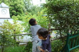 img0024.jpg