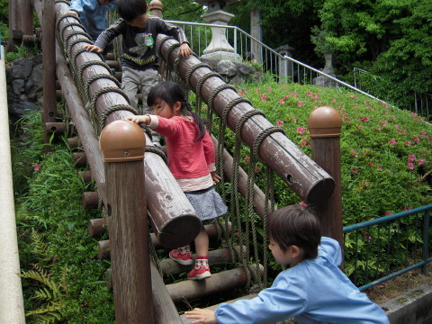 img0027.jpg