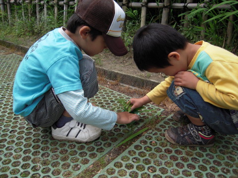 img0030.jpg