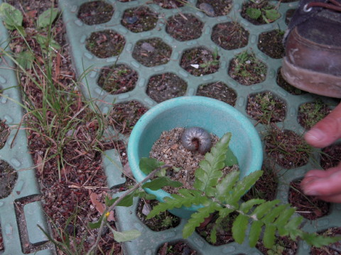 img0032.jpg