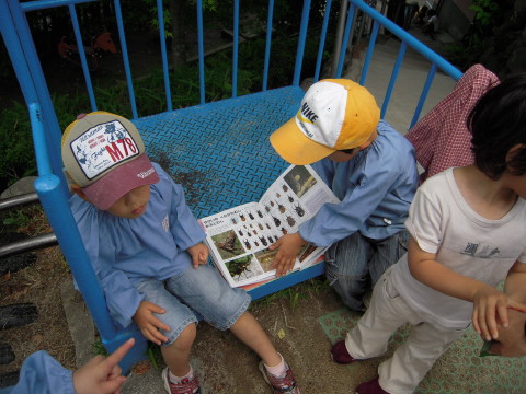 img0033.jpg