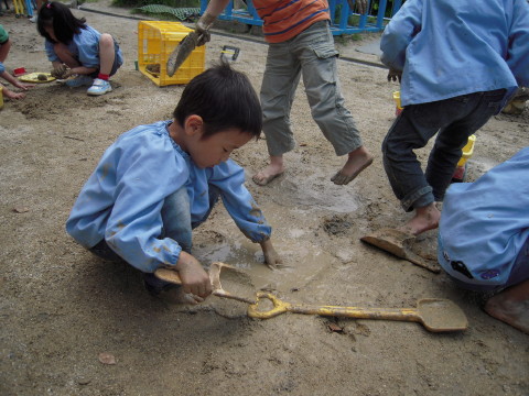 img0045.jpg