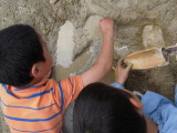 img0002.jpg