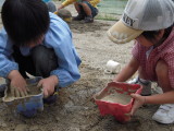 img0004.jpg