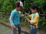 img0031.jpg