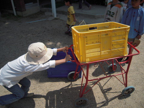 img0002.jpg