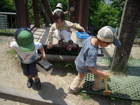 img0010.jpg