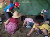 img0009.jpg