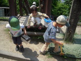 img0010.jpg