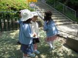 img0017.jpg