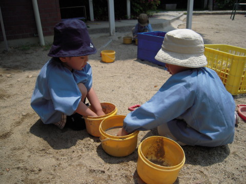 img0006.jpg