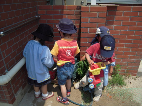 img0028.jpg