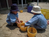 img0006.jpg