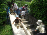 img0017.jpg