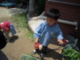 img0027.jpg