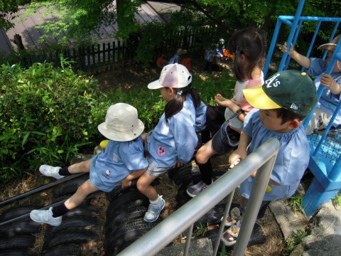 img0008.jpg