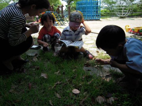 img0023.jpg