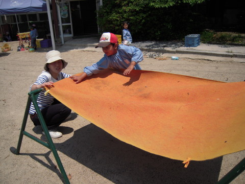 img0030.jpg