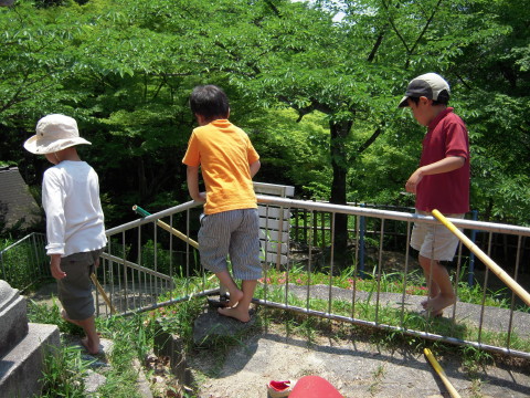 img0035.jpg