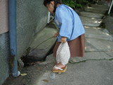 img0003.jpg
