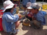 img0006.jpg