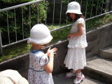 img0009.jpg