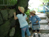 img0010.jpg