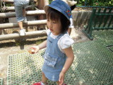 img0017.jpg
