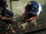img0018.jpg