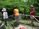 img0035.jpg