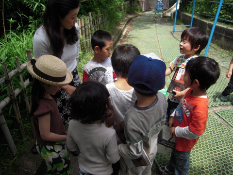 img0013.jpg
