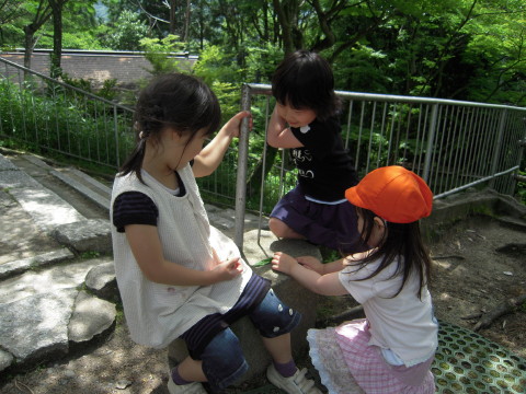 img0017.jpg