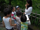img0010.jpg