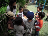 img0013.jpg
