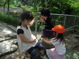 img0017.jpg