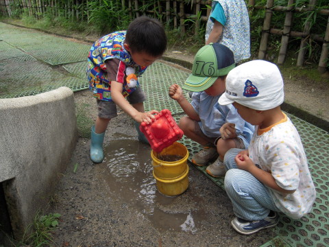 img0005.jpg