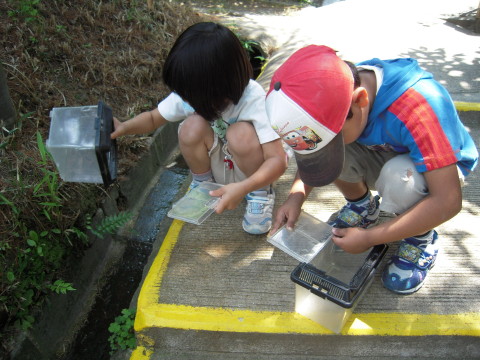 img0009.jpg