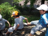 img0006.jpg