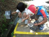 img0009.jpg