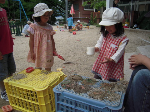 img0007.jpg