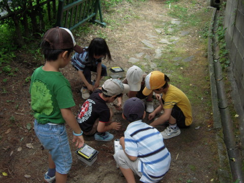 img0021.jpg