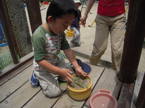 img0025.jpg