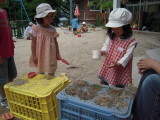img0007.jpg