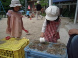 img0008.jpg
