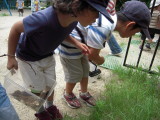 img0016.jpg