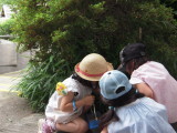 img0017.jpg