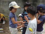 img0019.jpg