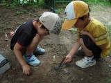 img0020.jpg